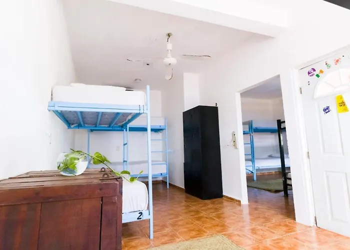 Weary Traveler Hostal *